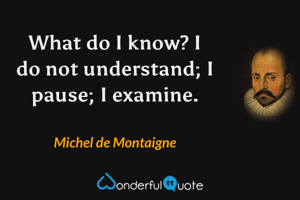 What do I know? I do not understand; I pause; I examine. - Michel de Montaigne quote.