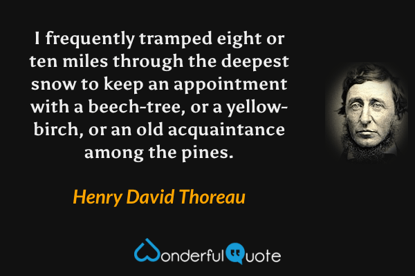 I frequently tramped eight or ten miles through the deepest snow to keep an appointment with a beech-tree, or a yellow-birch, or an old acquaintance among the pines. - Henry David Thoreau quote.
