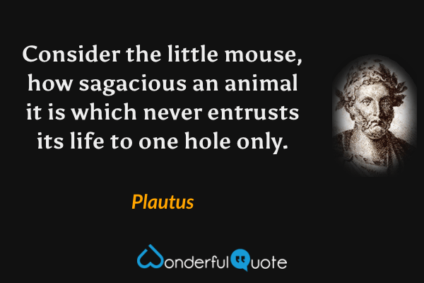 Consider the little mouse, how sagacious an animal it is which never entrusts its life to one hole only. - Plautus quote.