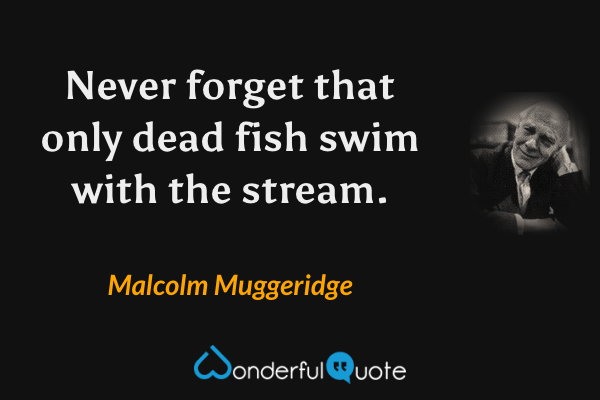 Never forget that only dead fish swim with the stream. - Malcolm Muggeridge quote.