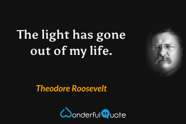 The light has gone out of my life. - Theodore Roosevelt quote.