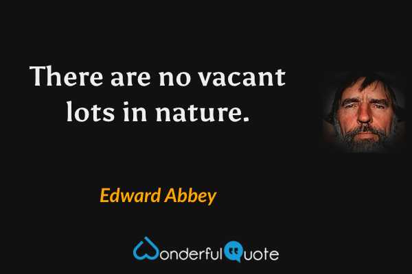 There are no vacant lots in nature. - Edward Abbey quote.