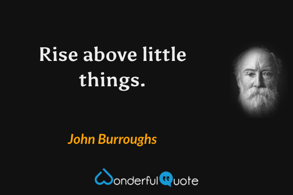 Rise above little things. - John Burroughs quote.