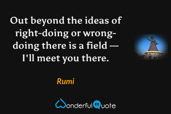 Out beyond the ideas of right-doing or wrong-doing there is a field — I'll meet you there. - Rumi quote.