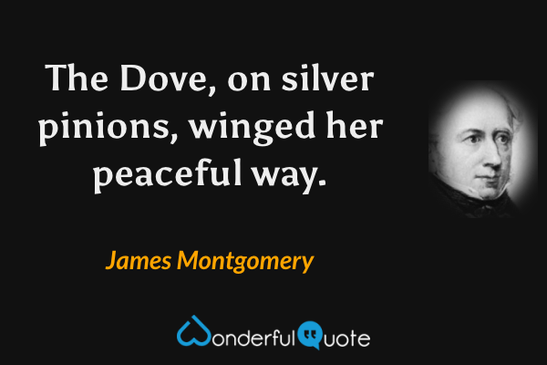 The Dove, on silver pinions, winged her peaceful way. - James Montgomery quote.