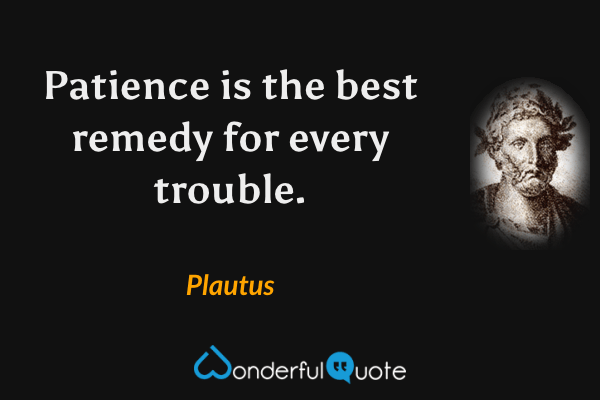 Patience is the best remedy for every trouble. - Plautus quote.