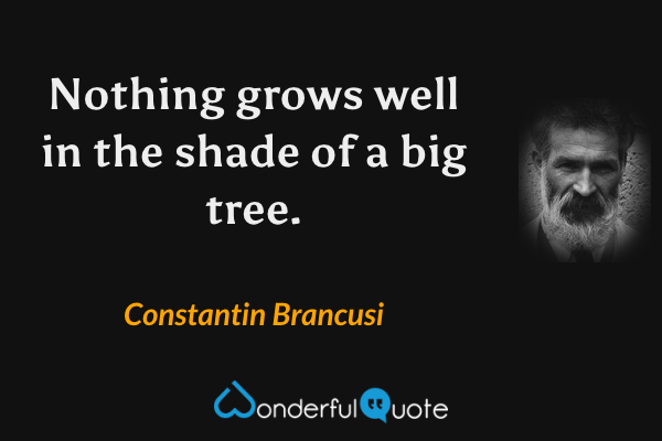 Nothing grows well in the shade of a big tree. - Constantin Brancusi quote.