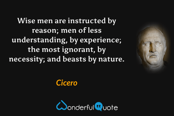 Wise men are instructed by reason; men of less understanding, by experience; the most ignorant, by necessity; and beasts by nature. - Cicero quote.