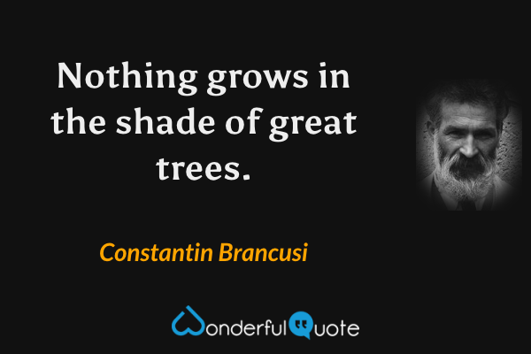 Nothing grows in the shade of great trees. - Constantin Brancusi quote.