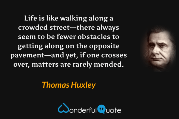 Life is like walking along a crowded street—there always seem to be fewer obstacles to getting along on the opposite pavement—and yet, if one crosses over, matters are rarely mended. - Thomas Huxley quote.