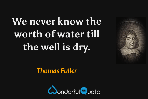 We never know the worth of water till the well is dry. - Thomas Fuller quote.