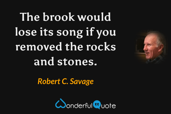 The brook would lose its song if you removed the rocks and stones. - Robert C. Savage quote.