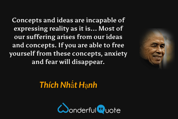 Concepts and ideas are incapable of expressing reality as it is... Most of our suffering arises from our ideas and concepts. If you are able to free yourself from these concepts, anxiety and fear will disappear. - Thích Nhất Hạnh quote.